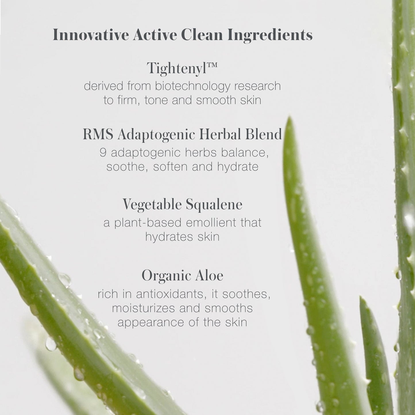 ReEvolve Natural Finish Foundation