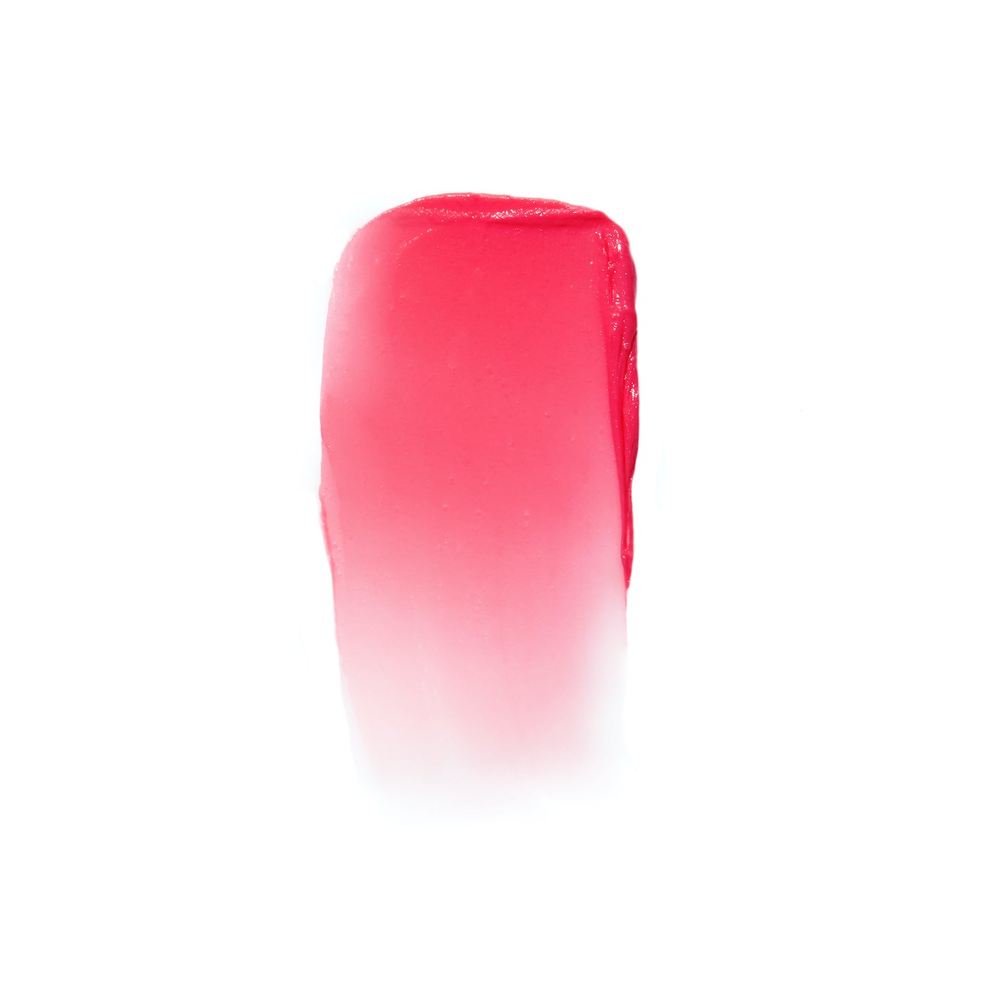 Tinted Daily Lip Balm