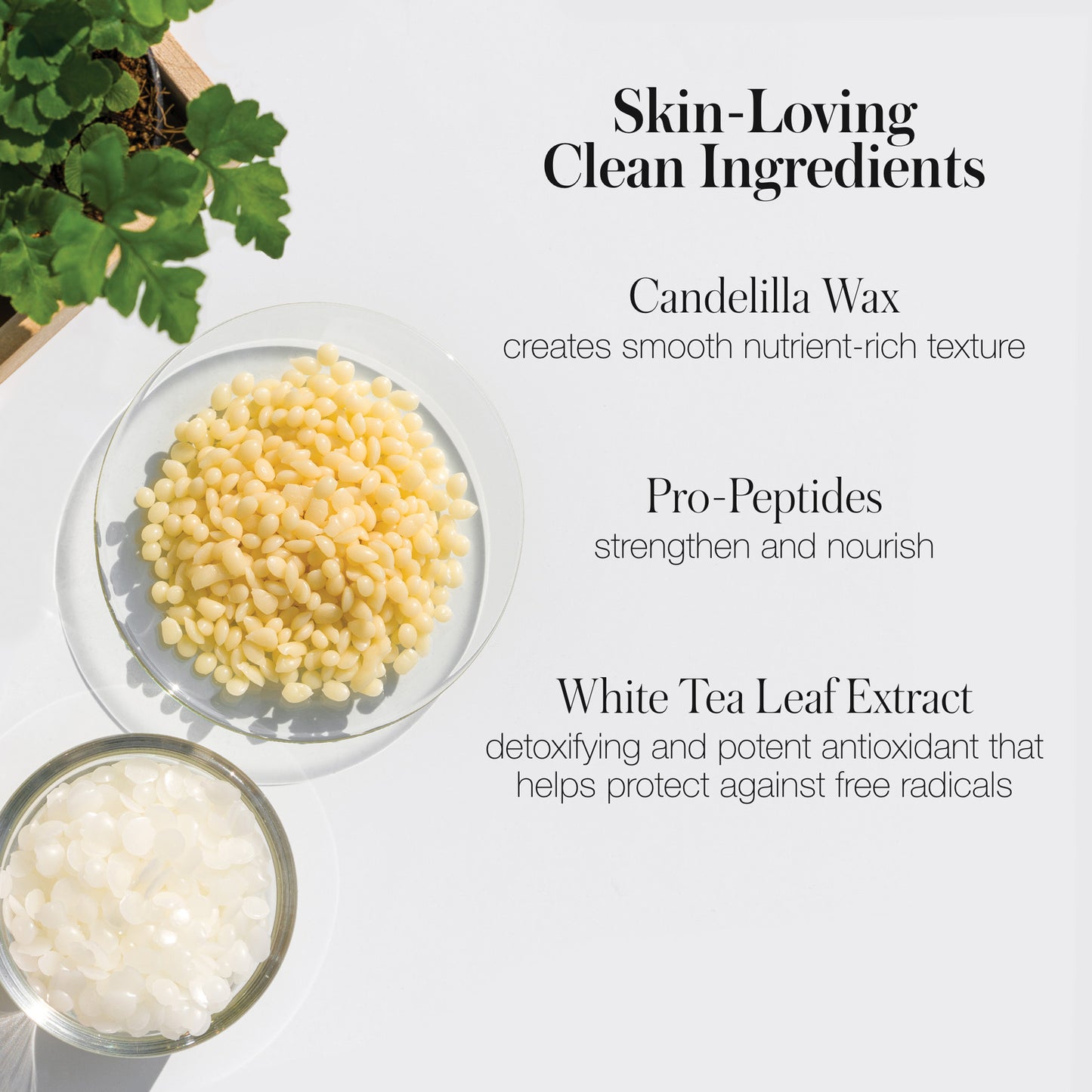 Straight Up Mascara (Travel Size)